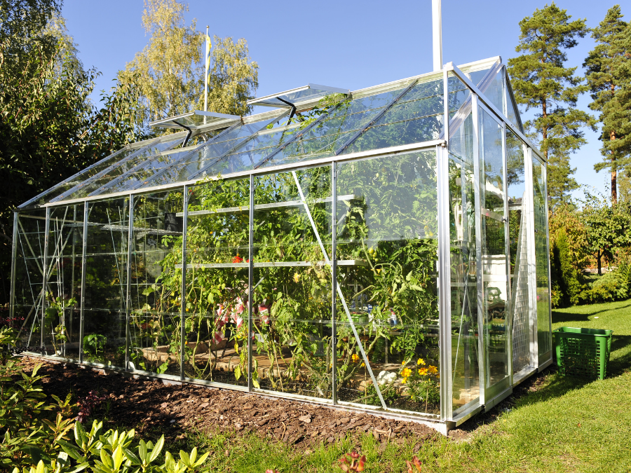 Greenhouse full of vegetables.