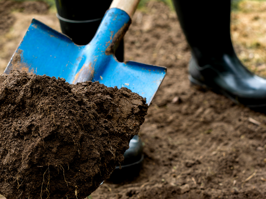 Blue shovel putting gardening soil into garden. 