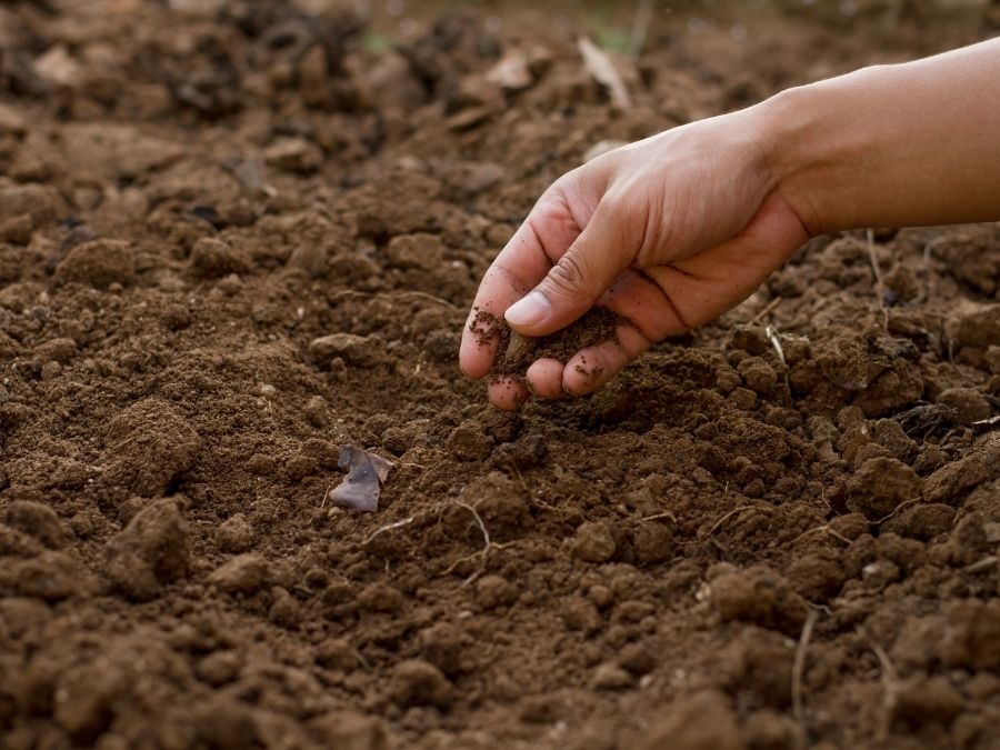 A hand digging through garden soil.